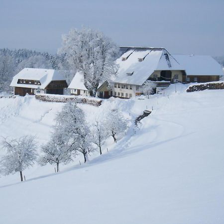 Appartamento Brosihof Erlenbach  Esterno foto