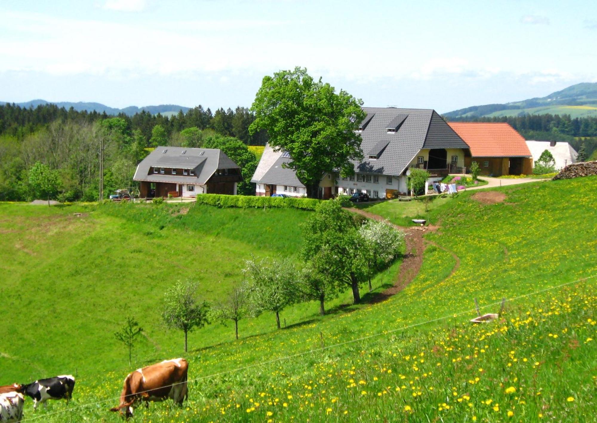 Appartamento Brosihof Erlenbach  Esterno foto