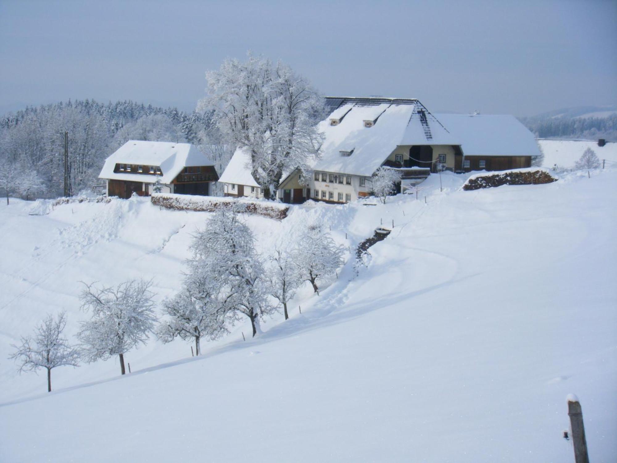 Appartamento Brosihof Erlenbach  Esterno foto