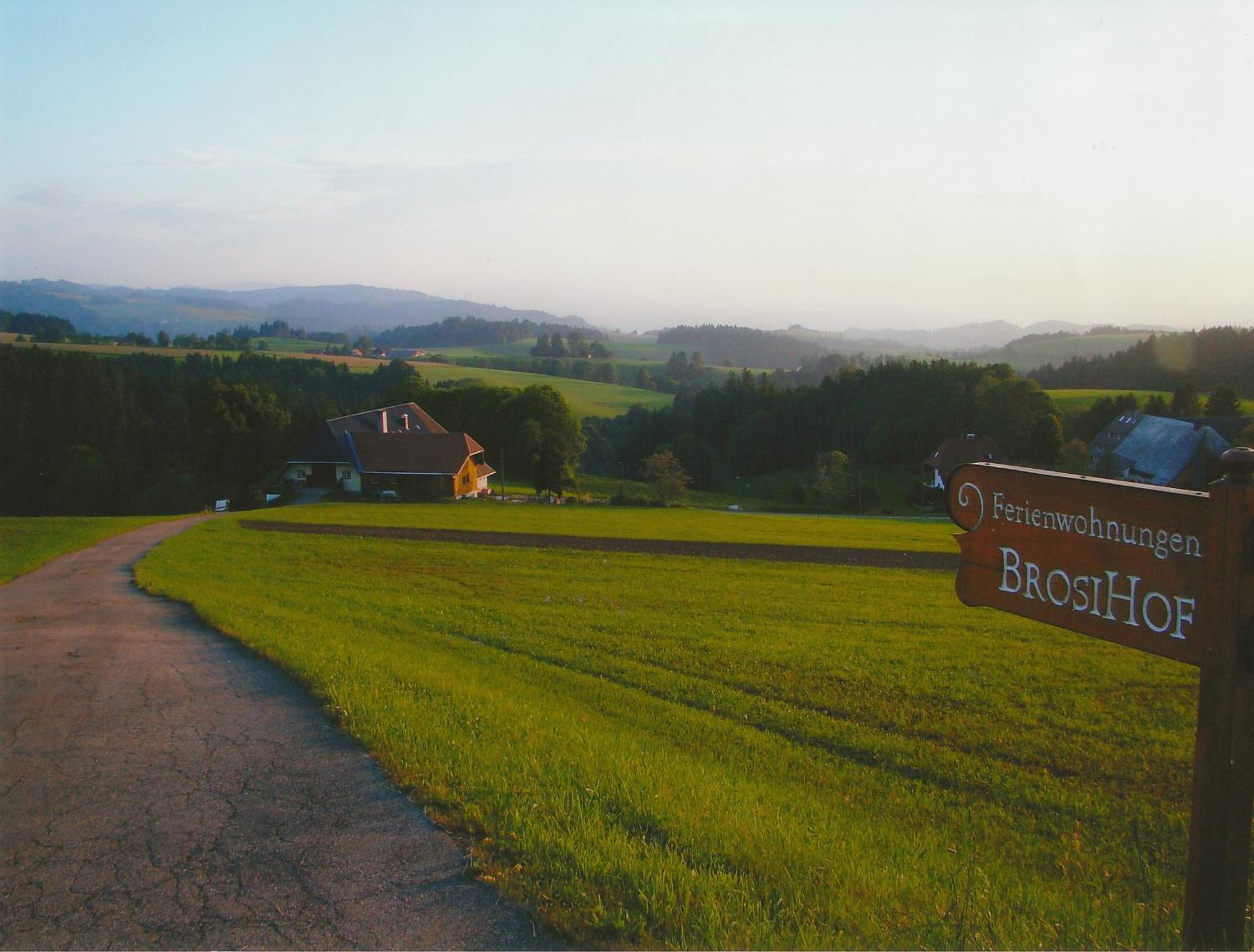 Appartamento Brosihof Erlenbach  Esterno foto