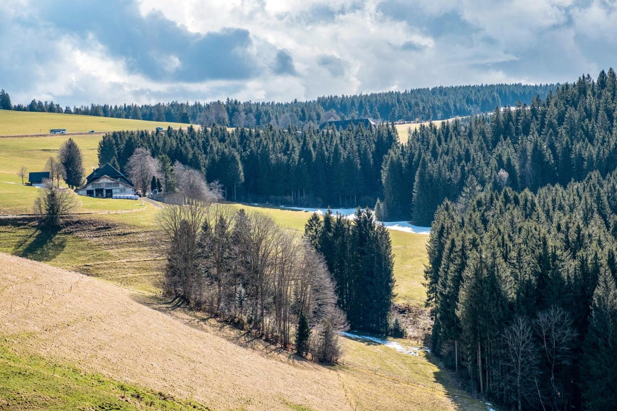 Appartamento Brosihof Erlenbach  Esterno foto