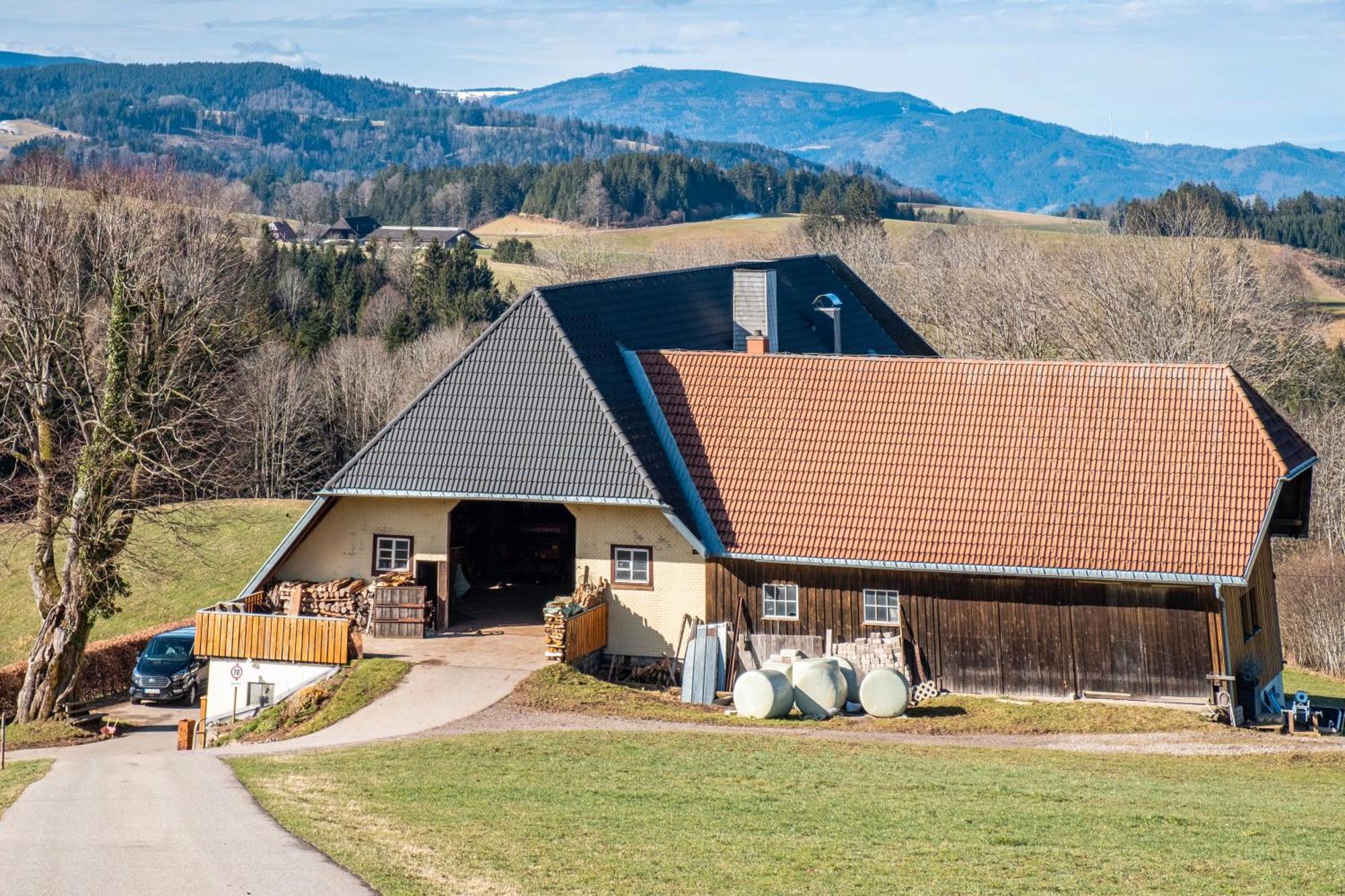 Appartamento Brosihof Erlenbach  Esterno foto