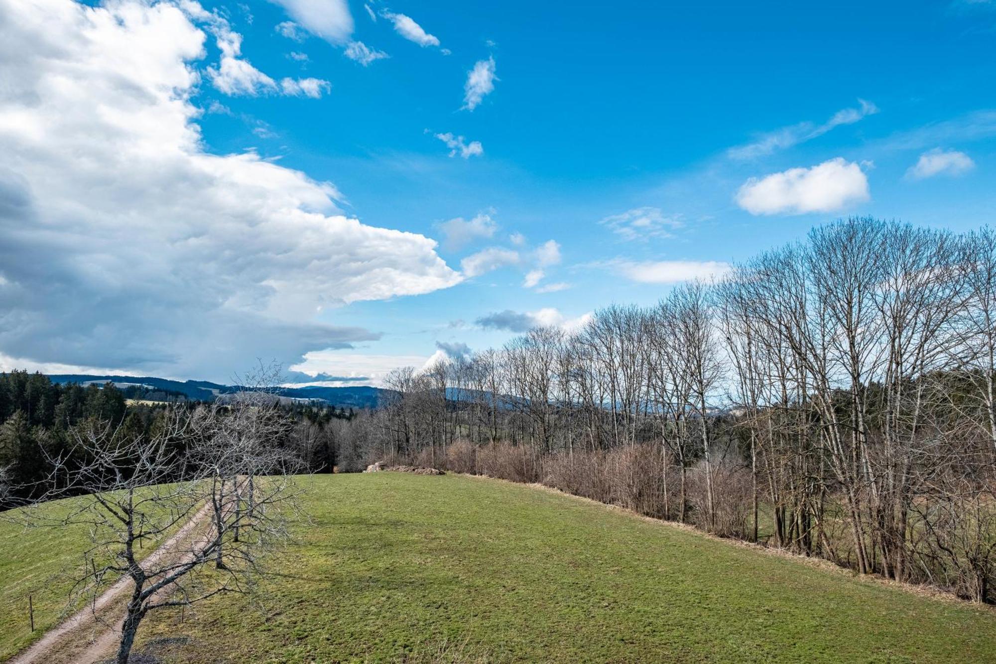 Appartamento Brosihof Erlenbach  Esterno foto