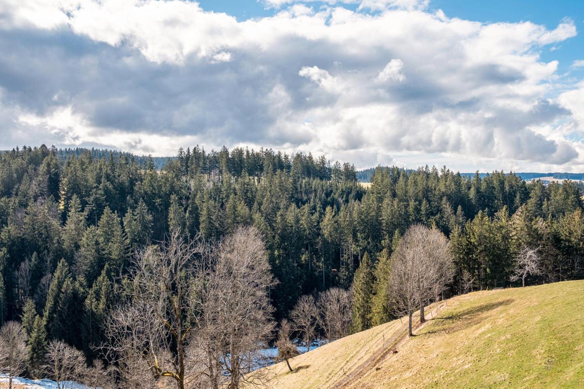 Appartamento Brosihof Erlenbach  Esterno foto