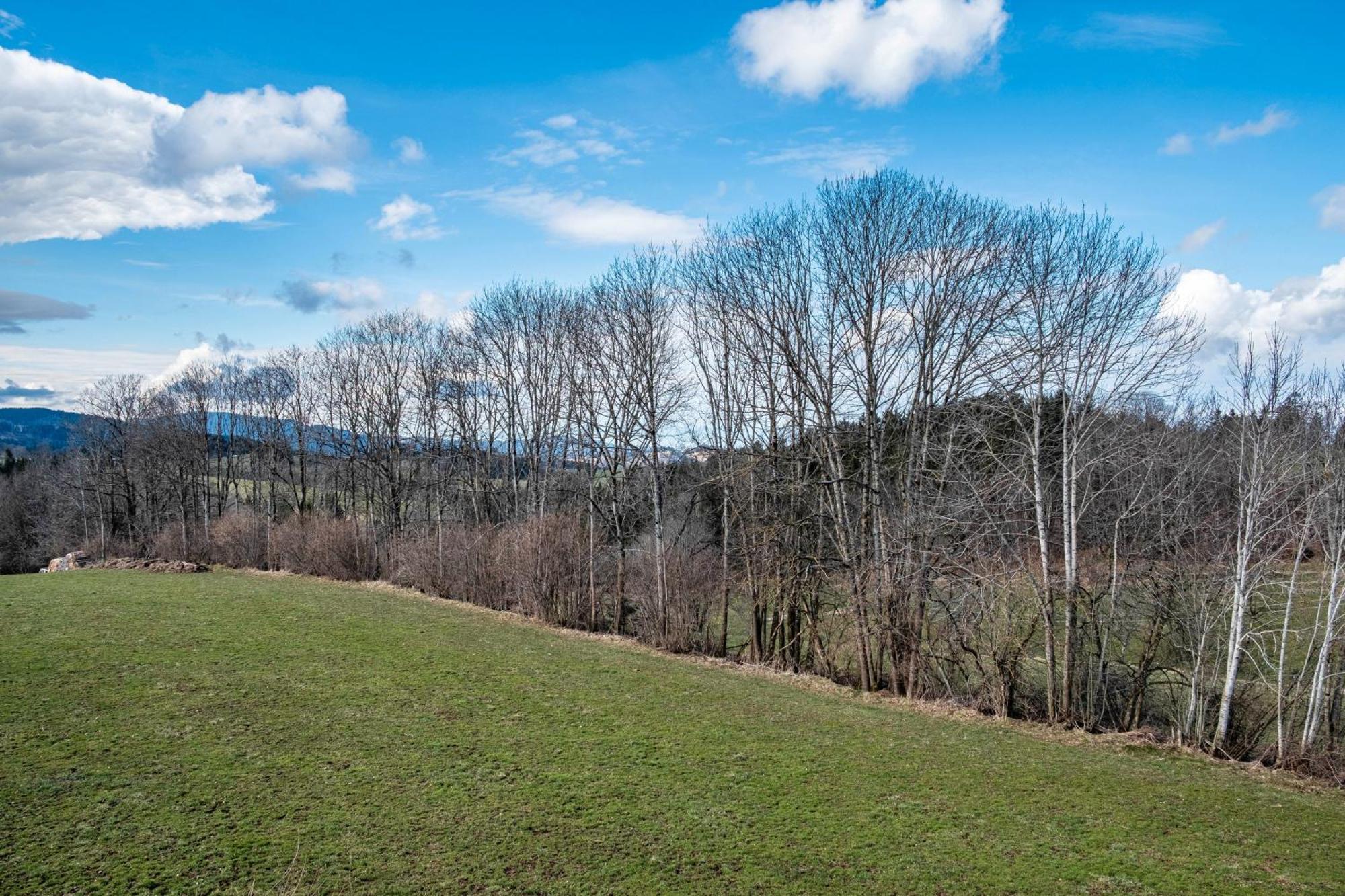 Appartamento Brosihof Erlenbach  Esterno foto